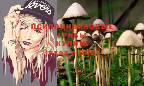 мяу мяу мука Кукмор